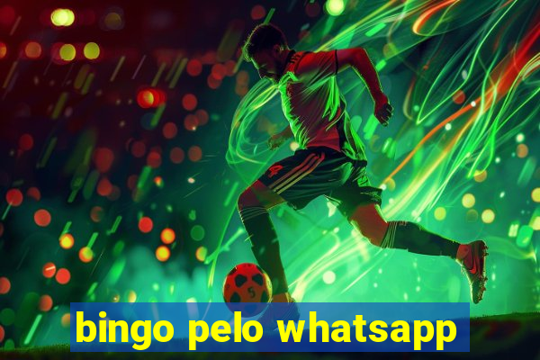 bingo pelo whatsapp